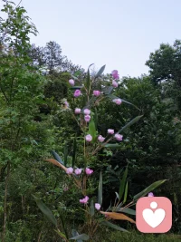 心有暖阳，何惧风霜，今日好心情营业配图