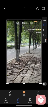 人行道上的树根，是我见过最温柔的生存哲学。
它没有选择顶翻地砖、破坏路面，而是顺着缝隙蔓延生长，在不打扰任何人的地方，悄悄活成了一道奇观。
原来真正的强大，从不是硬碰硬的对抗，而是在规则里找到自己的位置，和世界温柔相处，也成就了自己。配图