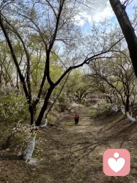 愿你以爱为起点，温暖自己，也照亮世界💞  

💖 被爱的孩子爱世界——  
被爱的孩子爱学习  

🌱 爱是源泉，不是奖赏  
心中被填满，才有力气向外流淌  

😌 被爱过，才懂得如何去爱 配图