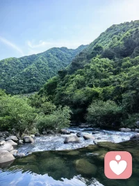 中年老登四大爱好：独处！喝茶！喝酒！出去走走～～配图