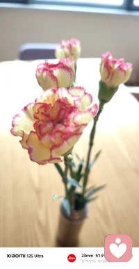 愿世上所有的父亲们健康快乐，让过去过去，让未来未来，晚年生活静等花开🌷🌷🌷配图