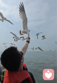 来蓬莱，去感悟，修内心