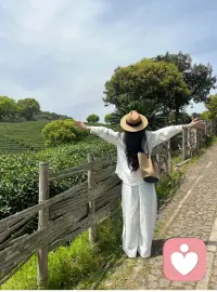 其实世界有时候也没有那么现实，
也可以有诗和远方。
我喜欢听故事，期待你和我分享你的故事❤️配图