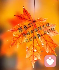 愿我们与时光落落为安，
只记欢喜，不记忧！配图