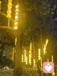 “没情绪”不是天生麻木，是自我防御太过彻底。不是没有心事，而是早已习惯把所有欲望与难过，悄悄隔绝在心底深处。配图