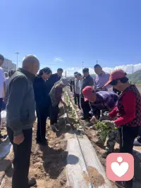 万物皆向阳！你若向阳而生，一切都为美好而来！