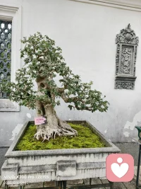 人之所以能凌驾于所有生物之上，作为最顶尖的存在，就是因为我们有七情六欲，如何掌控自己的七情六欲，才是活好自己的一把金钥匙……配图