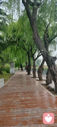 怎么样才能有钱呢？

答案：妻安。让你的妻子安心。
因为：qi an（钱）！配图