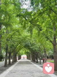 很多人宁可承受苦难，也不愿意为了幸福做出改变。因为承受苦难比做出改变容易的多！配图