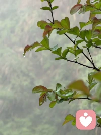 只有爱，只有相信，只有充分的爱和允许，才能让一个生命真正的改变。绝不是管教和道理让其改变的。配图