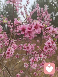 爱，不是为了要结果

爱，本身就是结果