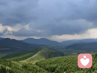 为什么我们不停地忙碌? 
不一定是勤劳，而是防御那个空无、闲着就难受的空态。