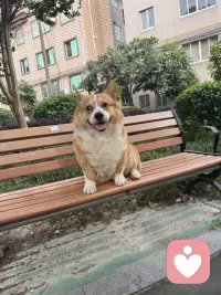 美好的一天又开始了。。配图