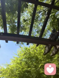 你看呀，我们每个人都有自己的小世界，每个人都有自己的小情绪，开心的，悲伤的，激动的，愤怒的，害怕的，委屈的，焦虑的，迷茫的的，等等…这才是真是的我们呀…配图