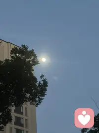 你忘了吗？孤独是常态呀。配图