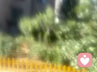 emmmm…佛系点，没什么不好的。配图
