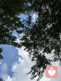 快看，天空多蓝(✌️°∀°)