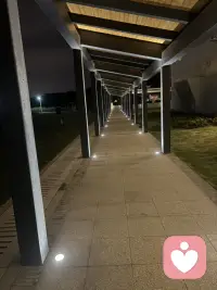 美食美物能治愈一切配图