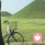 晚风听客的头像