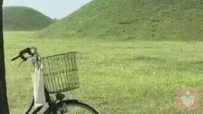 晚风听客