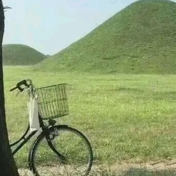 晚风听客