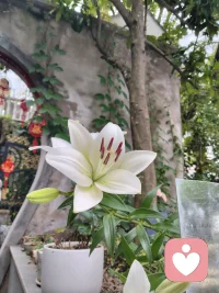 感恩遇见，感谢一路有你陪伴配图
