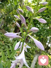 如果你真的爱自己，那这个世界上就没什么可以伤害到你。路不通就转弯，心不悦就看淡了，人生最重要的两把钥匙：接受和放下。配图
