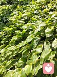 如果你真的爱自己，那这个世界上就没什么可以伤害到你。路不通就转弯，心不悦就看淡了，人生最重要的两把钥匙：接受和放下。配图