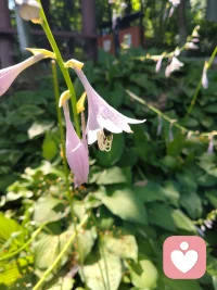 如果你真的爱自己，那这个世界上就没什么可以伤害到你。路不通就转弯，心不悦就看淡了，人生最重要的两把钥匙：接受和放下。配图