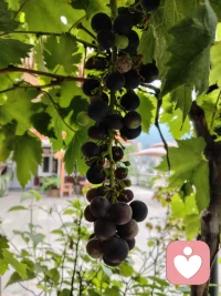 我喜欢你，这是我自己的事，是我感情的自然流露，是我享受心动与付出的喜悦，但这并不意味着我要束缚你，也不要求你用同等的重量来回馈我，你依然可以保持你的独立，我也不会弄丢真实的自己，我们靠近彼此，只是因为内心的真实吸引，而不是出于孤独，或想填补莫个空缺，不强求不掌控不幻想把对方改造成自己想要的模样，若能同频你是幸运的，若方向不同也体面放手喜欢本身的行为，就是一场自我探索与成长，那份心动与欣赏，首先滋养的是你自己，因为它让你明白你首先是你自己，然后才是那个喜欢别人的人，你会得到一个更通透的更懂得爱自己，也正在不断完整的自己，配图