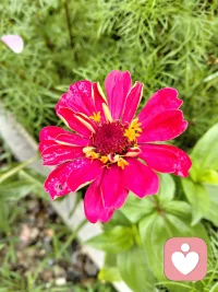 一眼就认定的人，无关年岁与容颜，是他身上有种独一无二的气息，旁人无法给予。说不出具体缘由，但就是谁也替代不了。人和人的缘分就是这么奇妙，一生会看见无数面孔，但不得不承认，有些人只在初见那一刻，心弦就会悄然波动。那种吸引无关皮囊，是灵魂深处一种命定的熟悉，仿佛在时光长河里等待已久的幻影，终于在相遇那一刻有了真实的轮廓，而且无论光阴如何流转，重逢时那份欢喜依然清晰如昨。配图