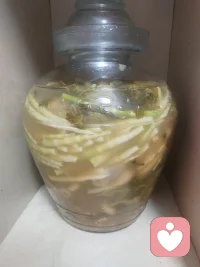 Angelos8073配图