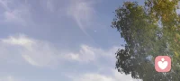 我们都在缝缝补补地活着。
那些无法对旁人言说的秘密，那些深夜独自吞咽的委屈，
都可以在这里，被温柔地摊开、梳理。
愿你的内心，终有栖息之地。