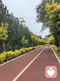 治愈——和自己的心和解
 
  
       来自一位重度抑郁患者的日记，分享给大家！
       
        疗愈的第一步，和自己的心和解！
        
       对不起，是我没保护好你，才让你受尽委屈！


       我拼了命去保护所有人，唯独没有保护你！我只知道回看自己有没有伤到别人，却忘了你有没有被我伤到！


       我只在乎自己有没有做到自己的标准，却忘了问你是否愿意这样？


       我一直享受着我很强大，却忘了问你一声，你是否愿意承受这份虚伪的强大？


       我总在顾及别人，而忘了问你会不会难过？


       以为自己很强大，治愈别人的时候，伤害不到自己！却忘了问你一句:你怎么样了，受伤了吗？


        伤而不自知！伤不自知！


        怪我，对不起，我的心！

 
       这辈子和很多人说过对不起，但唯独没跟你说！我想这辈子其实我没有对不起别人，要说有，只能是你！


       你掉进深渊，爬上来，又掉进去，又爬上来，又掉进去……


       打开一看，才发现，早已伤痕累累，千苍百孔……



       我听到了，听到了你的委屈，听到了你的难过，感受到了你有多痛……我哭了……我对你好残忍！！是我没保护好你……为什么我没保护好你……


      以后我不会那么自私了，我会跟随你的选择，保护好你，信我……

       
      明天，咱们继续往上爬……一起往上爬……


       我的心，我的灵魂，忠于自己！配图