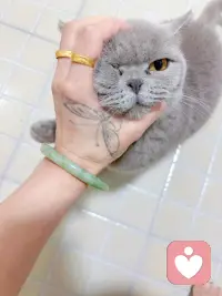 酒逢知己千杯少 
话不投机半句多……配图