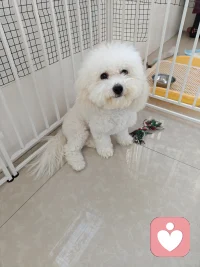 .没人懂你的孤独，没人理解你的为难？
给力心理 专业倾听陪伴
不用伪装，不用顾虑，安心倾诉，治愈内耗。配图