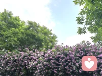 我是枕风，一个愿意无条件接住你所有情绪的倾听者。
不用假装坚强，不用害怕被评判，在这里，你可以卸下所有伪装，把开心，委屈，迷茫都讲给我听。
无论深夜的emo，生活的压力，还是无人可说的心事，我都会认真倾听，陪你慢慢消化。
今天也在线等你，愿意听你说。
