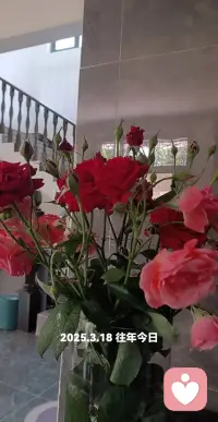 在这个喧嚣的世界里，每个人都渴望被听见，渴望自己的声音能穿透嘈杂，抵达他人的内心。而在这纷扰之中，有这样一群人，他们是倾听者，用无声的陪伴，给予他人最温暖的慰藉。
 
倾听者是生活的知音。当我们在人生的道路上遭遇挫折，满心委屈无处倾诉时，他们会静静地坐在我们身旁，用专注的眼神、微微点头的动作，鼓励我们将内心的苦水一吐为快。他们不会轻易打断我们，不会急于给出评判，只是默默地聆听，让我们在倾诉的过程中，逐渐释放内心的压力，重新找回面对生活的勇气。
 
倾听者是情感的收纳盒。我们的生活充满了喜怒哀乐，有时快乐需要与人分享，有时悲伤需要有人分担。倾听者就像一个安全的容器，接纳我们所有的情绪。当我们兴高采烈地讲述生活中的趣事时，他们会与我们一同欢笑；当我们黯然神伤地诉说内心的痛苦时，他们会给予我们无声的安慰。在他们面前，我们可以毫无保留地展现真实的自己，不用担心被嘲笑或误解。
 
倾听者是智慧的传递者。他们不仅倾听我们的话语，更用心去理解我们话语背后的含义。在我们迷茫困惑时，他们会通过倾听捕捉到我们内心的矛盾和需求，然后用温和而睿智的语言，为我们指点迷津。他们的建议或许不是惊天动地的大道理，但却如春风化雨般，滋润着我们的心田，帮助我们找到解决问题的方向。
 
然而，倾听者的角色并非易事。这需要他们有足够的耐心和同理心，能够站在他人的角度去感受和理解。他们要克制自己想要表达的欲望，全身心地沉浸在对方的世界里。他们可能不会成为舞台上的主角，不会得到鲜花和掌声，但他们的存在却无比重要。
 
在这个充满浮躁和功利的社会里，倾听者就像一股清泉，流淌在人们的心田。他们用无声的力量，温暖着每一个需要倾诉的灵魂。让我们珍惜身边的倾听者，也学会成为一个倾听者，用倾听搭建起人与人之间心灵的桥梁，让这个世界变得更加温暖和美好。配图