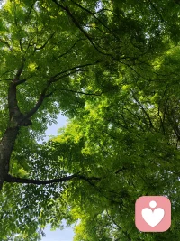 下班啦，卸下一天的疲惫，有什么心事可以跟我说，我一直在。配图