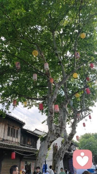 尊重所有的不同，允许花成为花，树成为树。配图