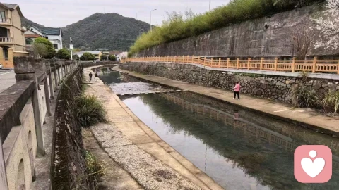 生活为本,工作为翼:在现代烟火里守住人生本心