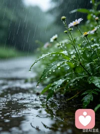 雨水可以洗涤一切，包括你的烦恼和不开心。配图