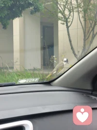 什么是忽然之间的欢喜[愉快]
​大概就是[让我看看]
​当这个小家伙突然之间闯进我的视线
​我那微微扬起的嘴角便是了[旺柴]
​配图
