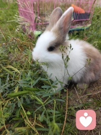 你多久没肆无忌惮倾诉过一次了？

越长大越明白
有些情绪，真的无人可诉
 
委屈、内耗、遗憾、迷茫
攒了一肚子话，却找不到一个靠谱的听众
 
不用假装坚强，不用刻意懂事
来我这里，不用小心翼翼
所有心事、情绪、碎碎念
都可以放心全盘托出✨配图
