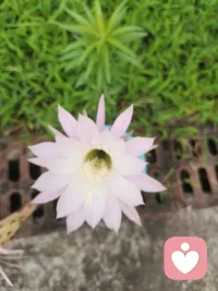 只有你悟到了，明白了，你才能在红尘中立足