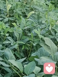 心在别人身上就是内耗，心在自己身上就是修行