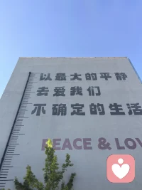 永远热爱永远年轻配图