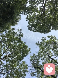 从树冠的“留白”，看见人际关系的温柔边界
 
你抬头看过树林吗？明明枝桠交错，却总能在顶端留出一方天空，互不缠绕，也不越界。植物学里叫它树冠羞避（Crown Shyness）——相邻的树冠主动为彼此让出缝隙，风来时互不摩擦，雨来时互不遮挡，各自舒展，也各自安好。
 
大自然的智慧，原来早写在每一片树叶里：最好的共生，从不是亲密无间，而是懂得给彼此留一片不被打扰的天空。
 
我们总在人际关系里犯一个错：以为靠得越近，关系就越牢。于是忍不住分享所有情绪，追问对方的所有心事，用“我们这么好”绑架彼此的边界，把对方的人生当成自己的附属品。可就像两棵靠得太近的树，枝桠交缠只会在风雨里互相磨损，阳光被挡住，呼吸也变得拥挤。
 
树冠的缝隙，从来不是疏远，而是一种清醒的温柔。它知道，每一棵树都需要自己的生长空间，每一片叶子都需要独自承接阳光。人际关系里的边界，也从来不是冷漠，而是对彼此独立人格的尊重：不强行闯入对方的私密地带，不把自己的期待强加于人，不因为关系亲密就随意消耗对方的情绪。
 
就像树林里的风，穿过树冠的缝隙时，只会温柔地拂过每一片叶子，而不会折断它们。真正健康的关系，也是这样——你有你的枝繁叶茂，我有我的向阳而生，我们并肩而立，却不彼此捆绑；彼此滋养，却不互相消耗。
 
那些让你觉得舒服的关系，都藏着这样的“树冠智慧”：不追问、不控制、不依附，既不刻意疏远，也不过度靠近。你可以分享我的阳光，我也能接住你的风雨，但我们始终保留着属于自己的那片天空，让彼此都有空间长出新的枝叶。
 
原来人与人之间最好的距离，从来不是无缝贴合，而是像树冠那样，在亲密与独立之间，留出一道温柔的缝隙。这道缝隙里，藏着尊重，藏着分寸，也藏着一段关系能长久生长的底气。
 
 配图