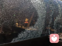 那些像气泡一样的瞬间
 
隔着玻璃看这满屏的气泡，突然就懂了很多情绪。
 
它们从水底升起，争先恐后，却又互不打扰，每一颗都有自己的节奏和轨迹。有的上升得快，一下就破了；有的慢悠悠，晃悠好久才消失。就像我们心里的那些念头、那些情绪，有时候来得汹涌，转眼就散；有时候沉在心底，慢慢冒出来，然后又悄无声息地没了。
 
其实很多关系也是这样。我们都在各自的轨迹里浮沉，有过靠近，有过共鸣，却不必强行同频。不用追着谁的气泡跑，也不用怪自己的节奏太慢。你只管顺着自己的心意浮上去，那些该遇见的光亮，总会在某个瞬间接住你。
 
不用急着把情绪压下去，也不用逼自己立刻释怀。就让它们像这些气泡一样，慢慢升起来，亮过一次，就够了。✨
 
#情绪随笔 #治愈瞬间配图