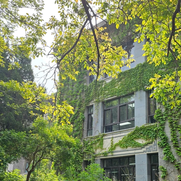 玛塔塔